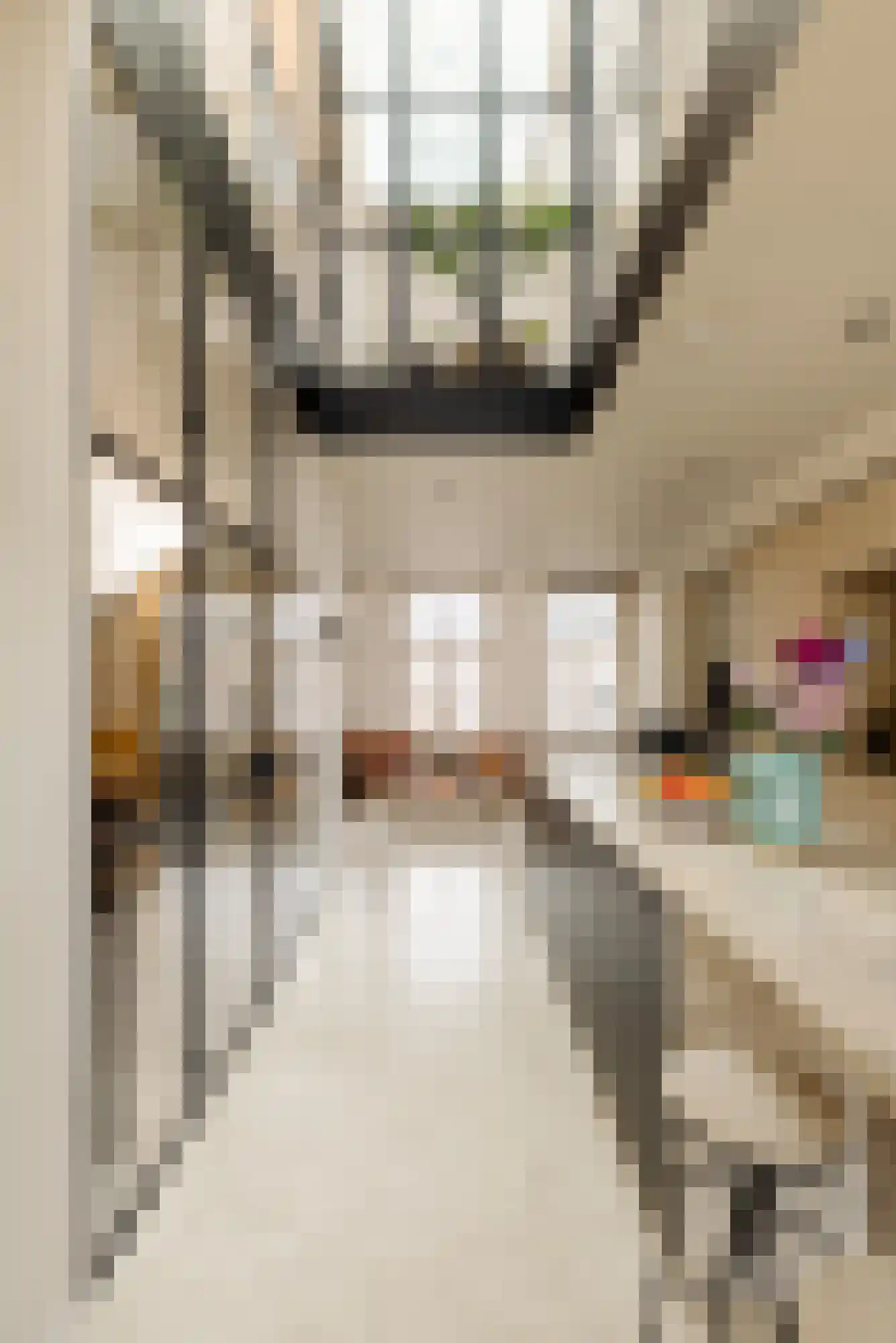Willemsparkweg 54 2 Amsterdam thumbnail 8