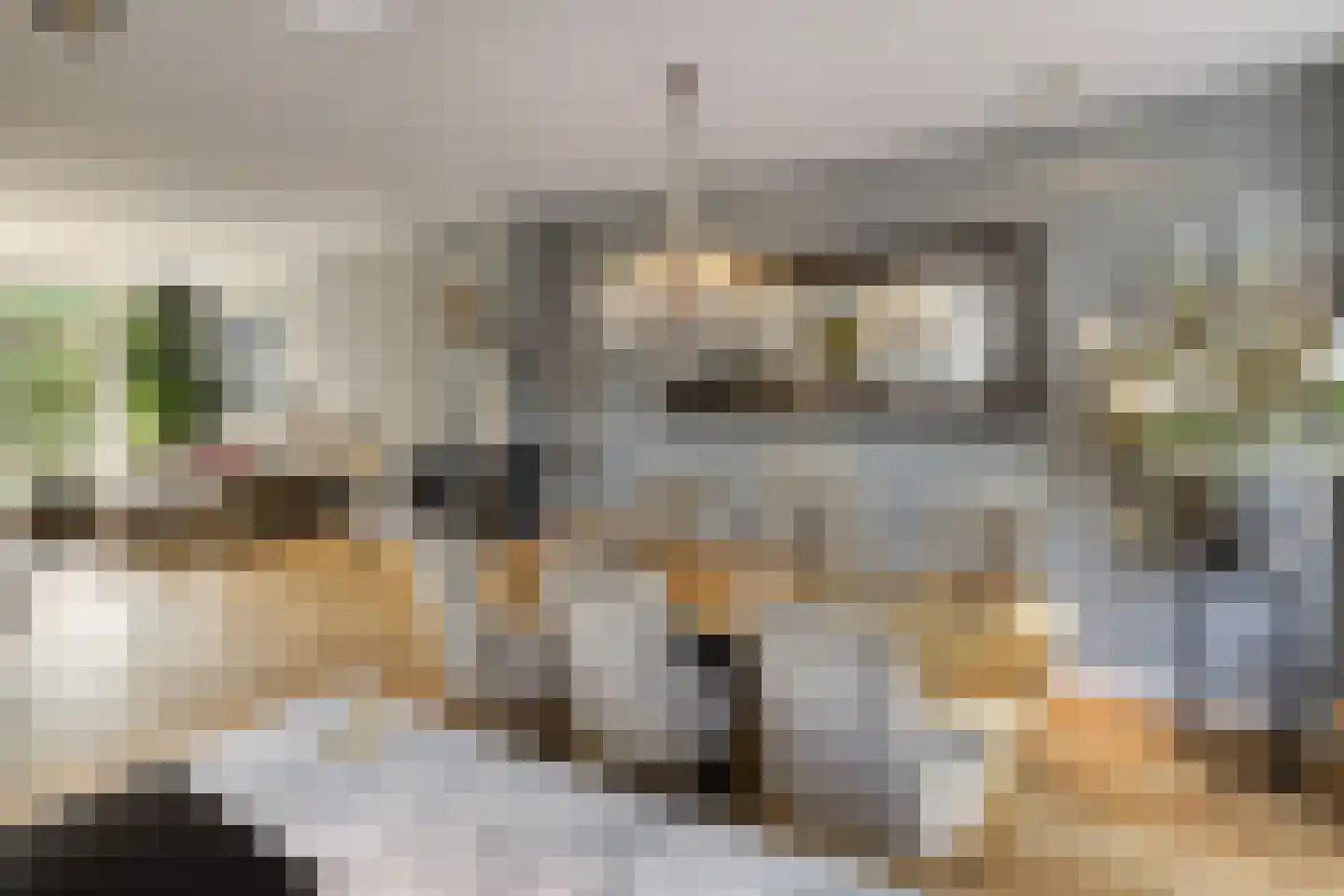 Willemsparkweg 87 1 Amsterdam thumbnail 15