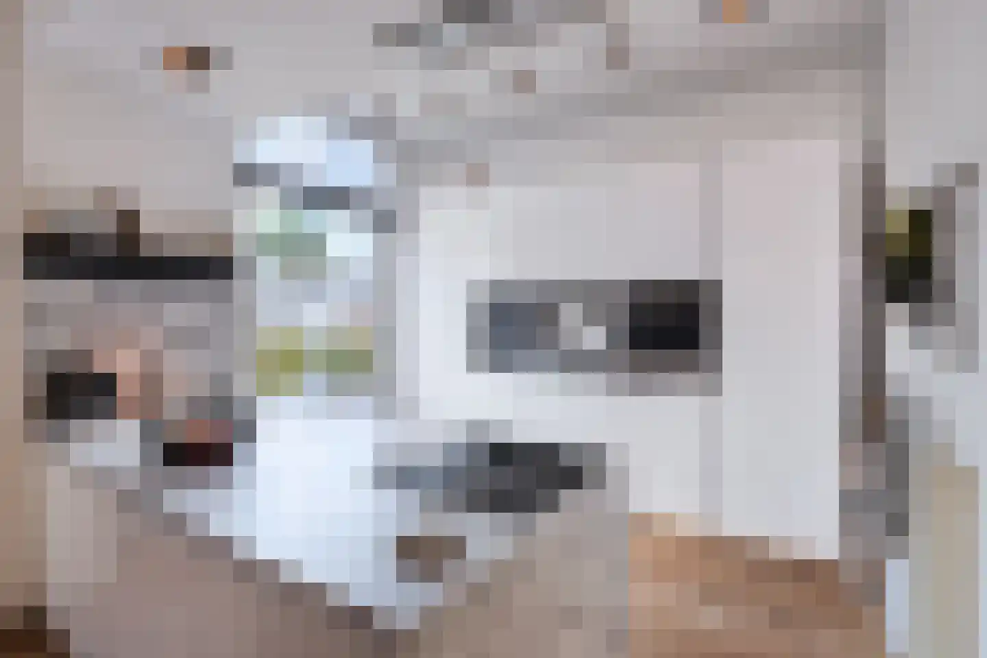 Willemsparkweg 87 2 Amsterdam thumbnail 4