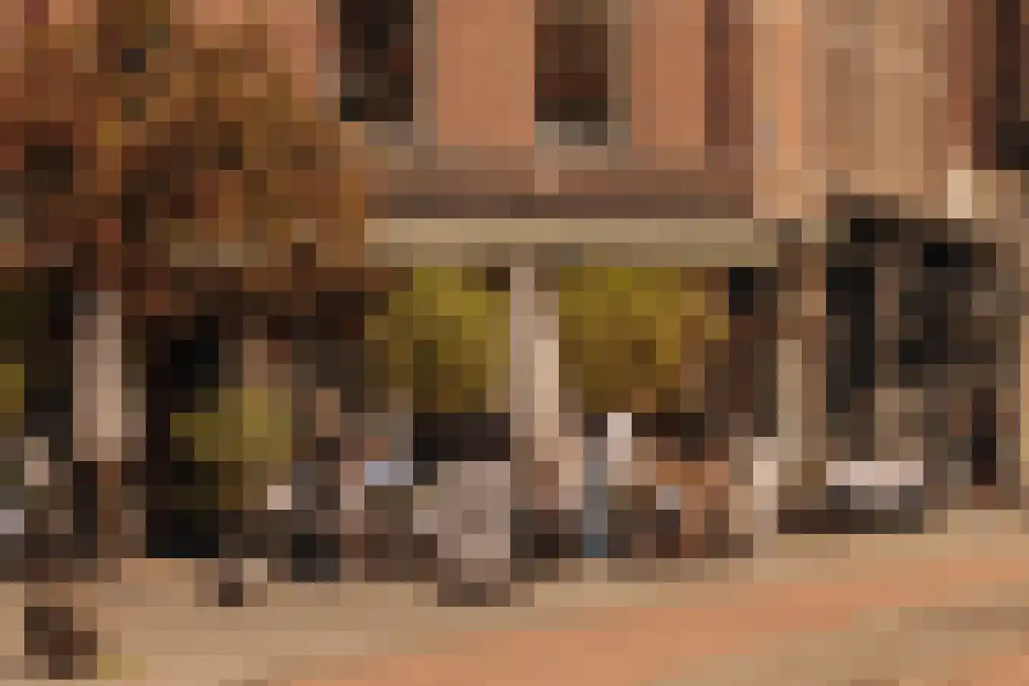 Willemsparkweg 88 2 Amsterdam thumbnail 52