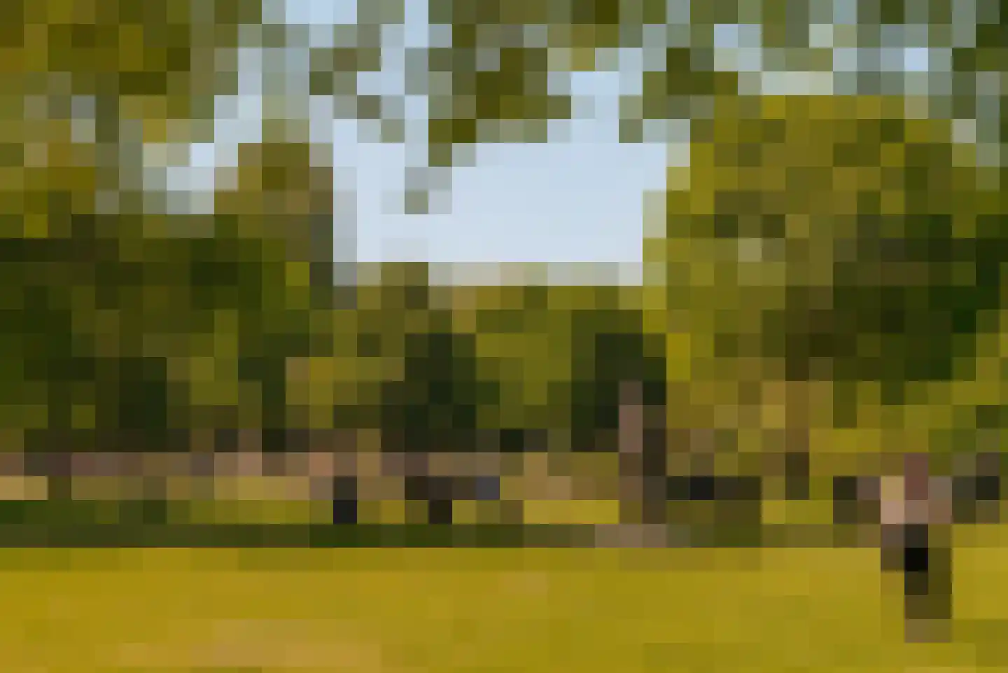 Willemsparkweg 88 2 Amsterdam thumbnail 53