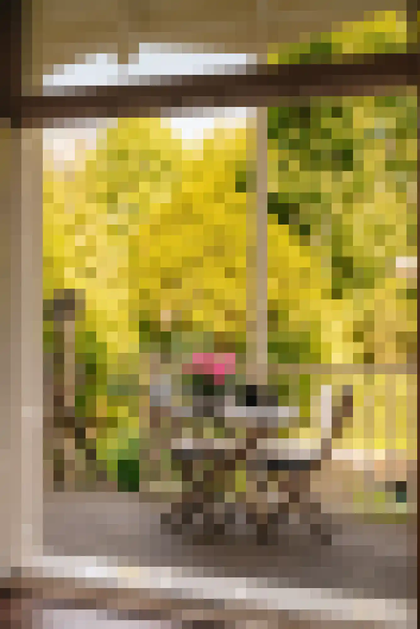 Willemsparkweg 88 H Amsterdam thumbnail 17
