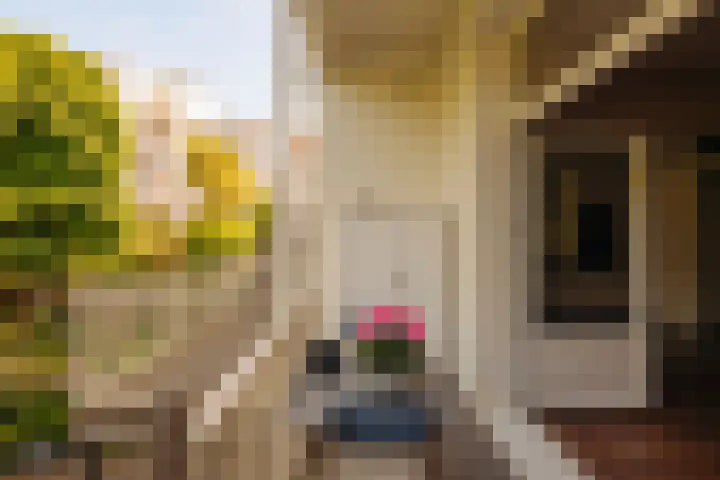 Willemsparkweg 88 H Amsterdam thumbnail 22