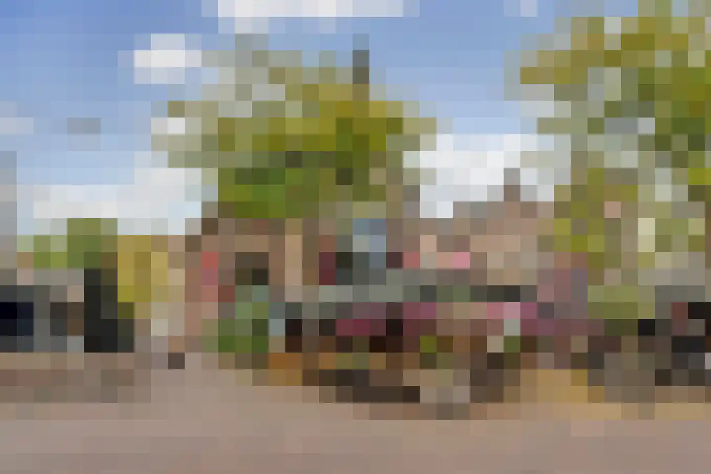 Willemsplein 14 2 Arnhem thumbnail 23