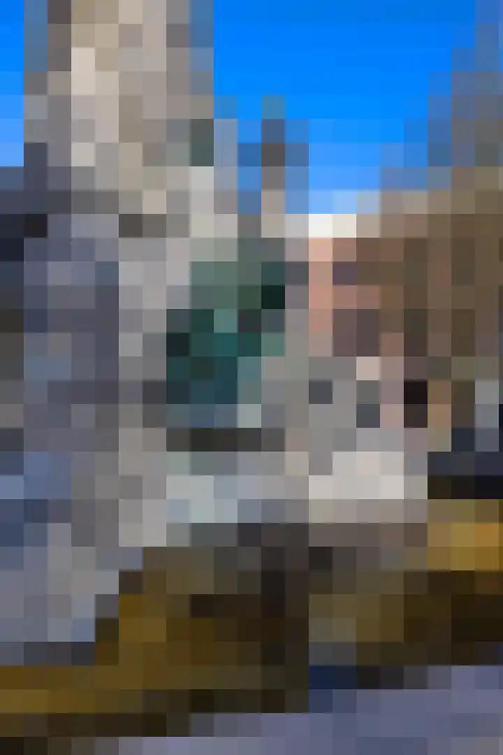 Willemsplein 519 Rotterdam thumbnail 31