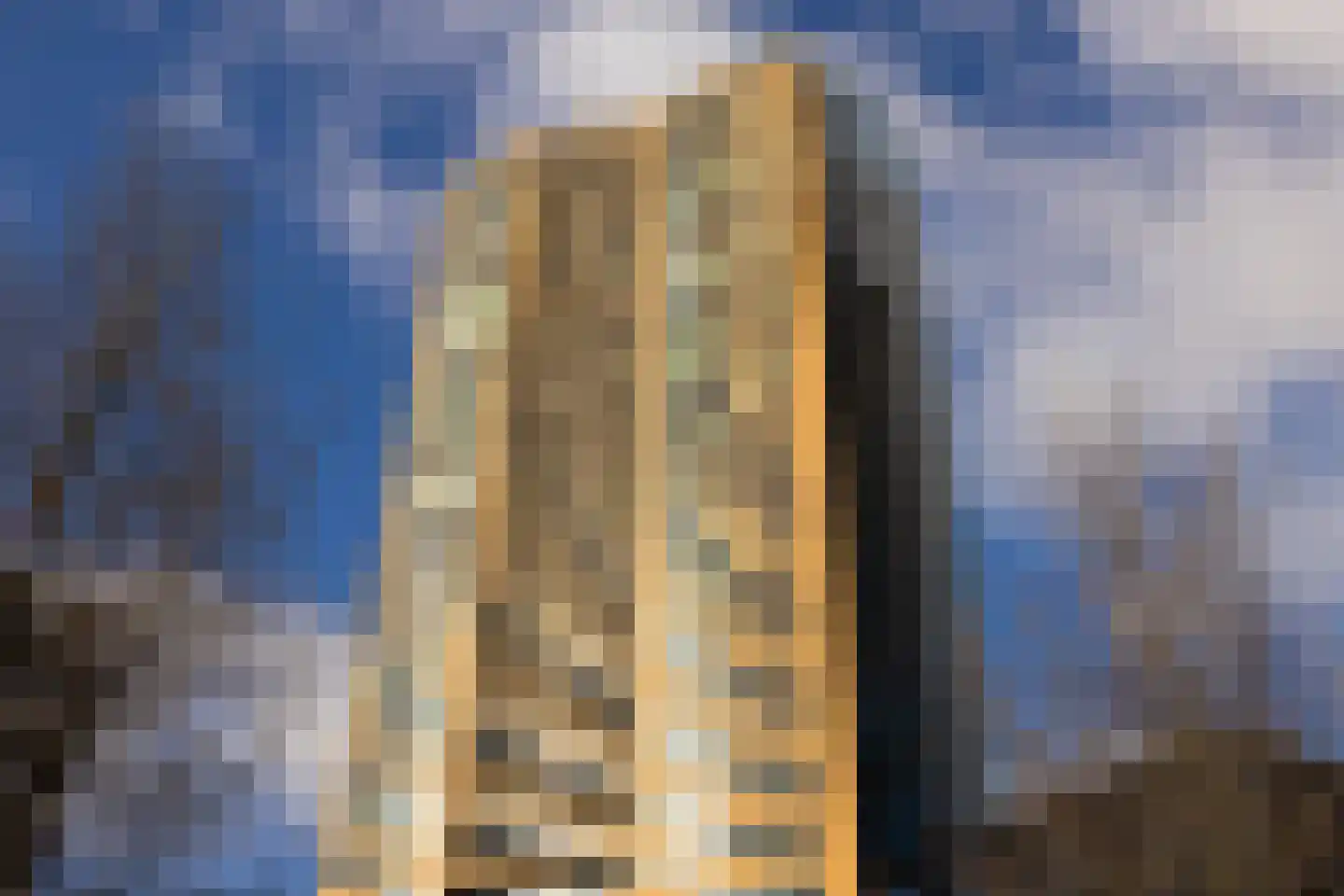 Willemsplein 519 Rotterdam thumbnail 5