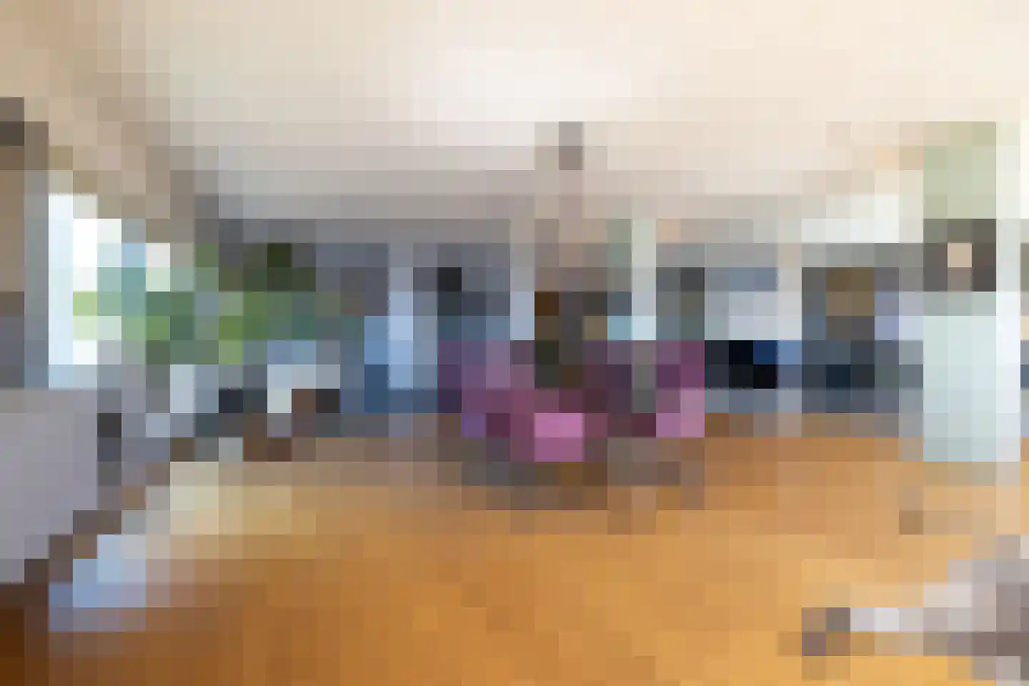 Willemsplein 566 Rotterdam thumbnail 4