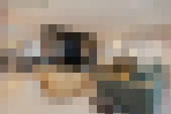 Willemspoort 123 's-Hertogenbosch thumbnail 18