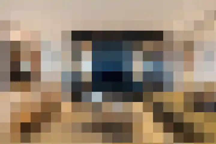 Willemspoort 123 's-Hertogenbosch thumbnail 21