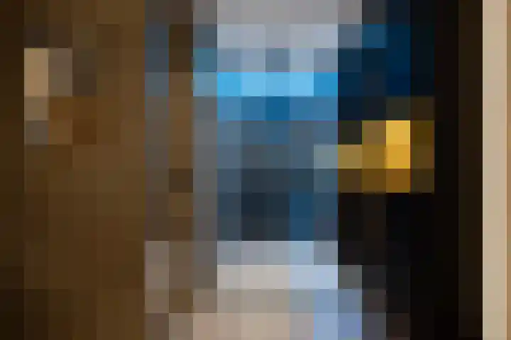 Willemspoort 123 's-Hertogenbosch thumbnail 30