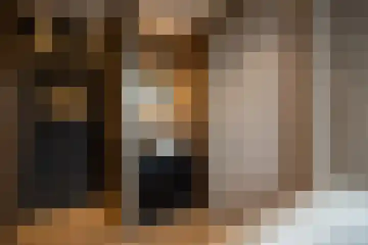 Willemspoort 123 's-Hertogenbosch thumbnail 32