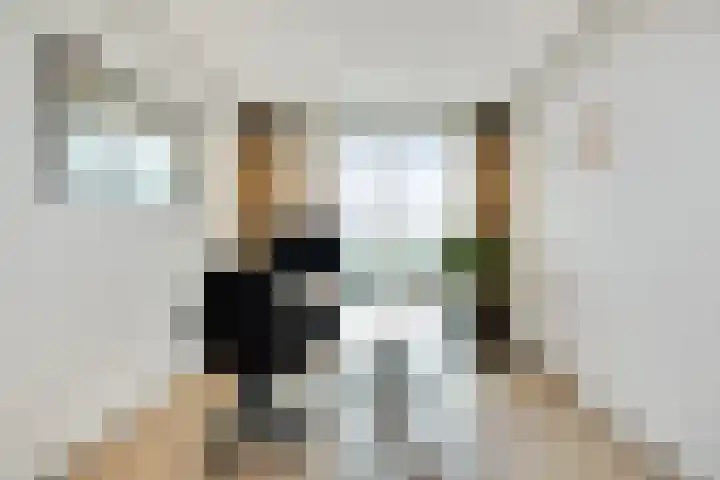 Willemspoort 123 's-Hertogenbosch thumbnail 35
