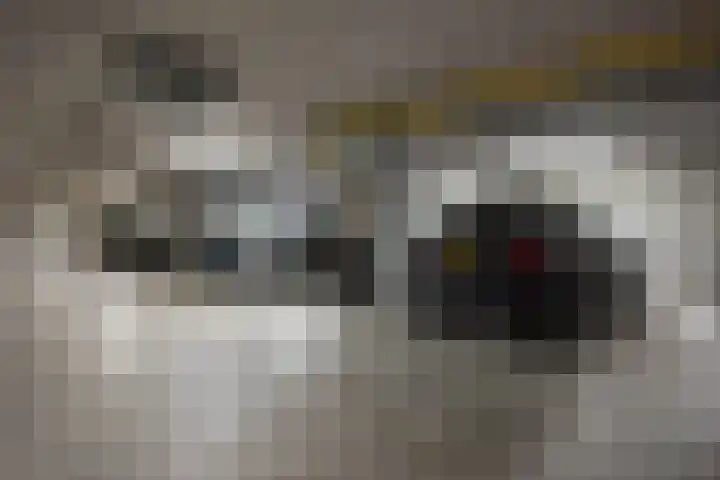 Willemspoort 123 's-Hertogenbosch thumbnail 44