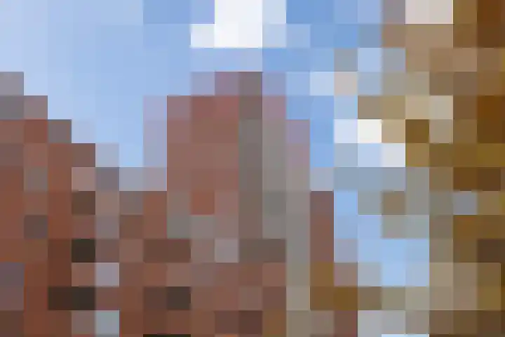 Willemspoort 123 's-Hertogenbosch thumbnail 45