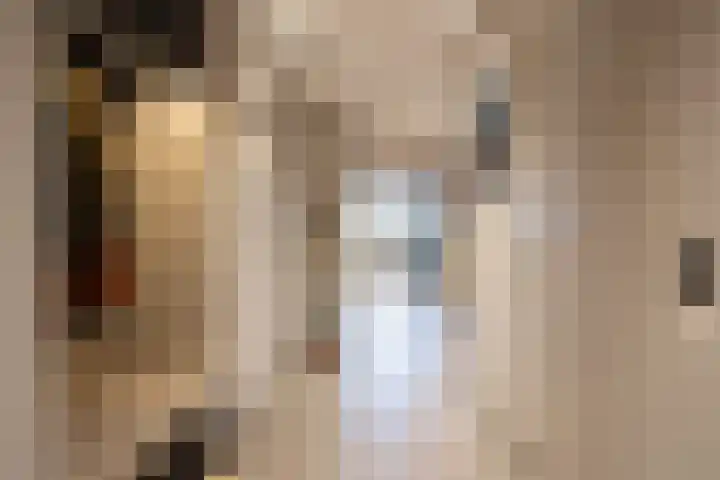Willemspoort 123 's-Hertogenbosch thumbnail 6