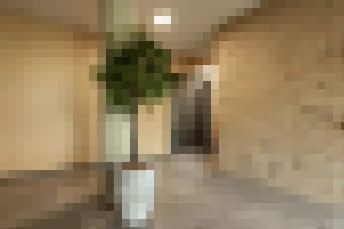Willemspoort 294 's-Hertogenbosch thumbnail 10