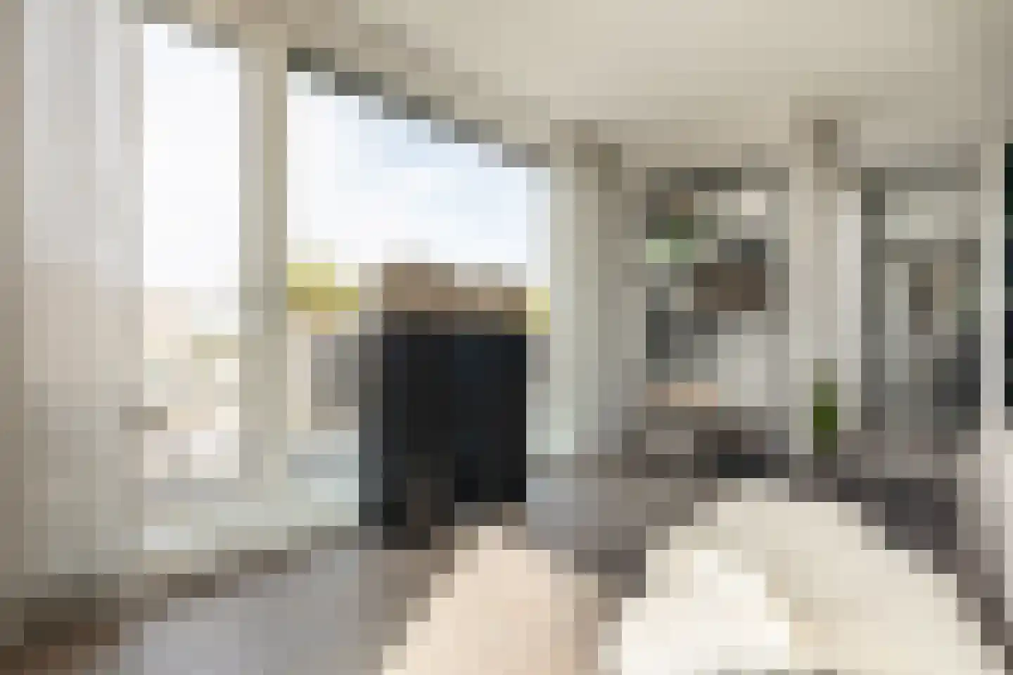 Willemspoort 294 's-Hertogenbosch thumbnail 21