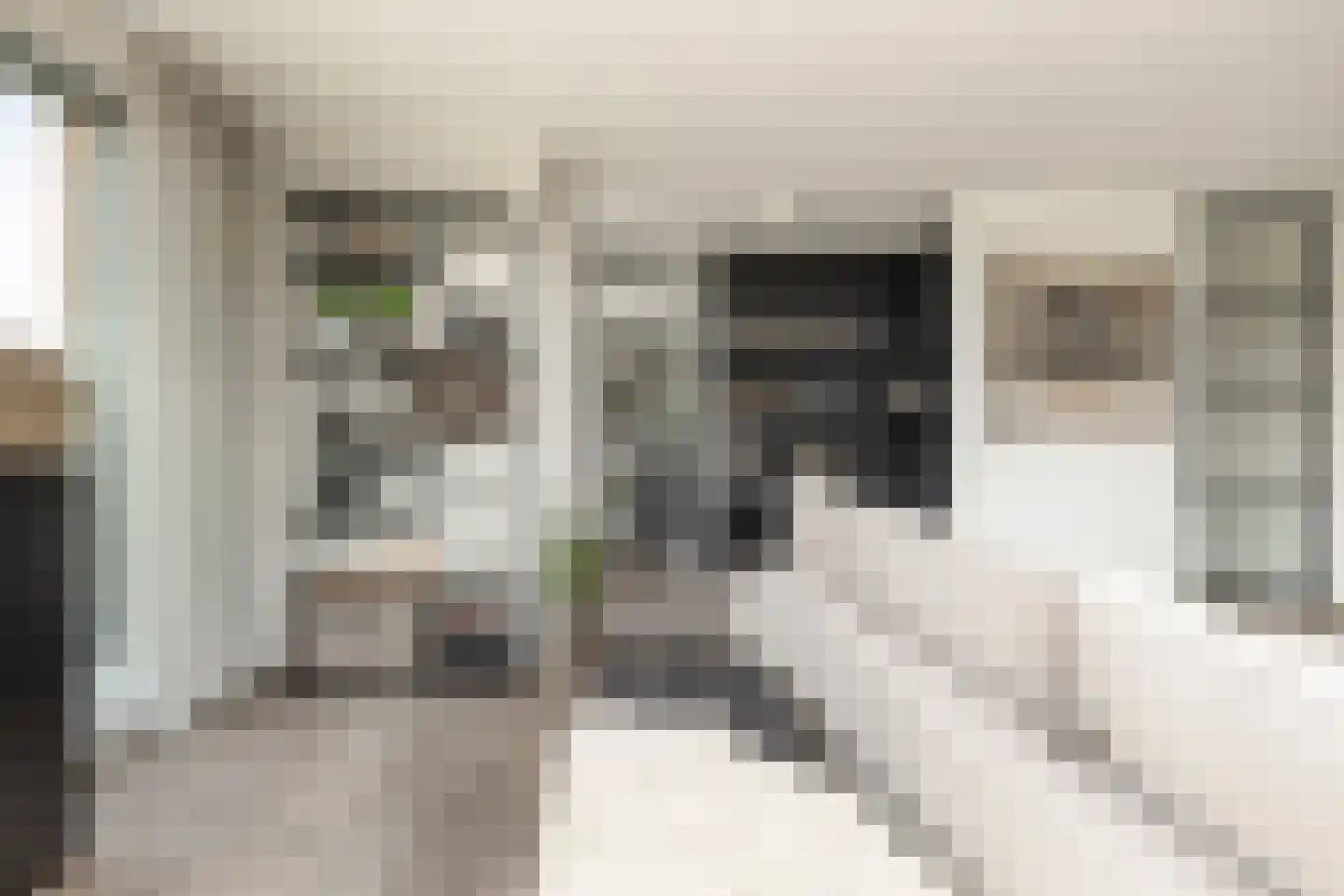 Willemspoort 294 's-Hertogenbosch thumbnail 22