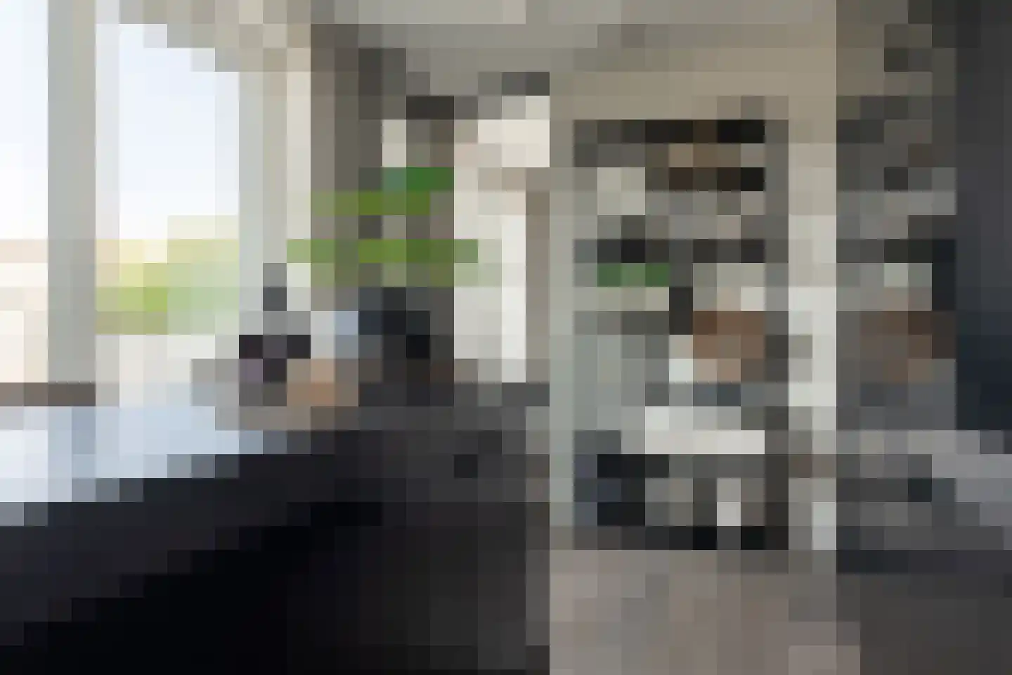 Willemspoort 294 's-Hertogenbosch thumbnail 30