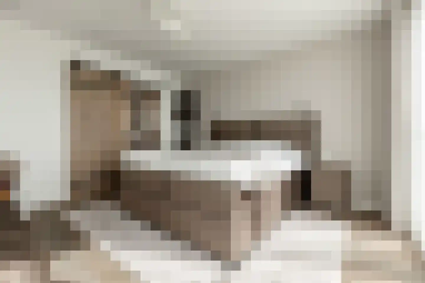 Willemspoort 294 's-Hertogenbosch thumbnail 35