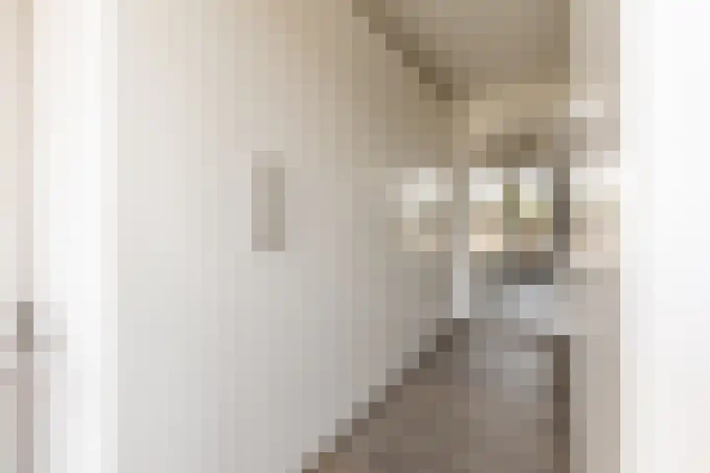 Willemspoort 294 's-Hertogenbosch thumbnail 43