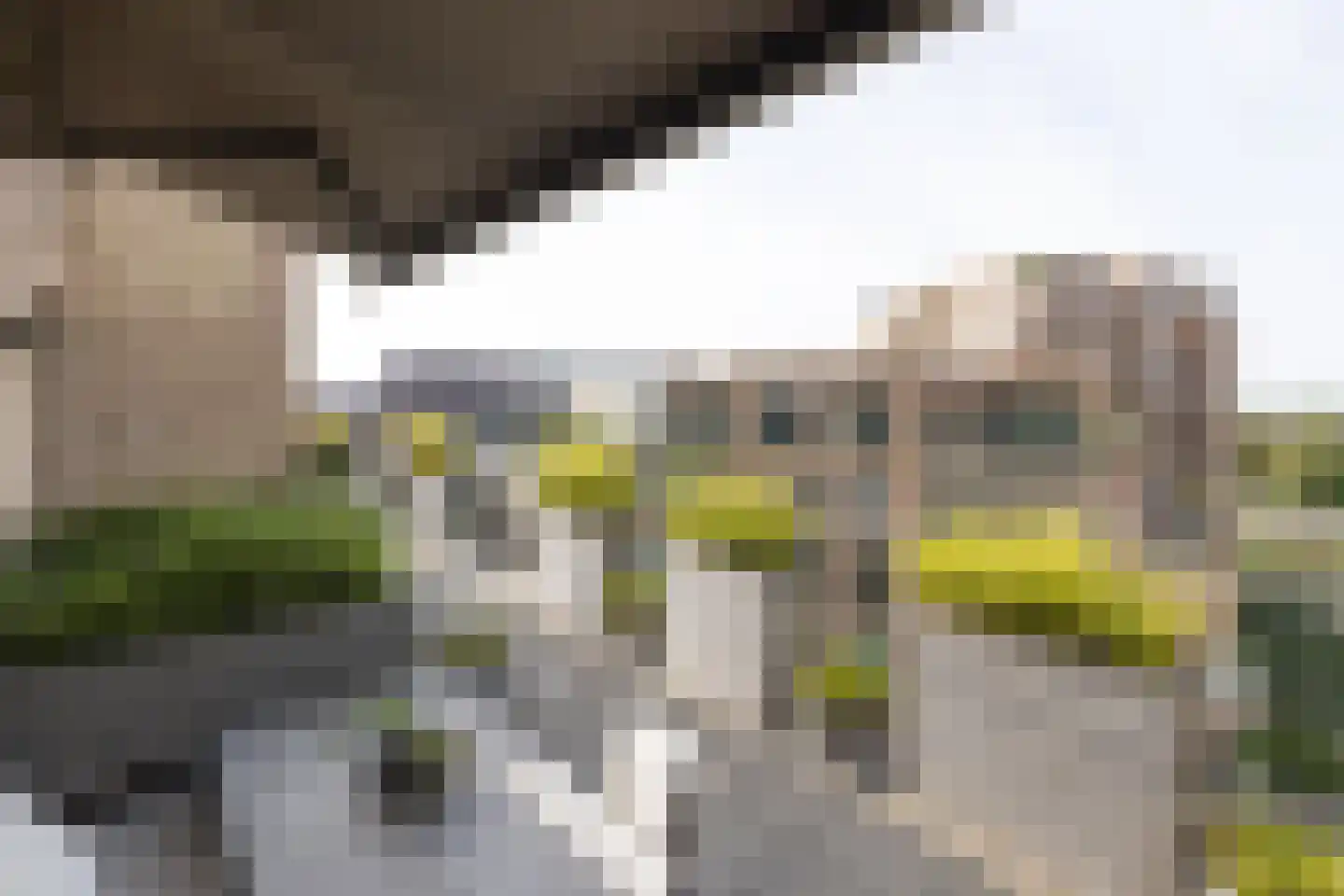 Willemspoort 294 's-Hertogenbosch thumbnail 49