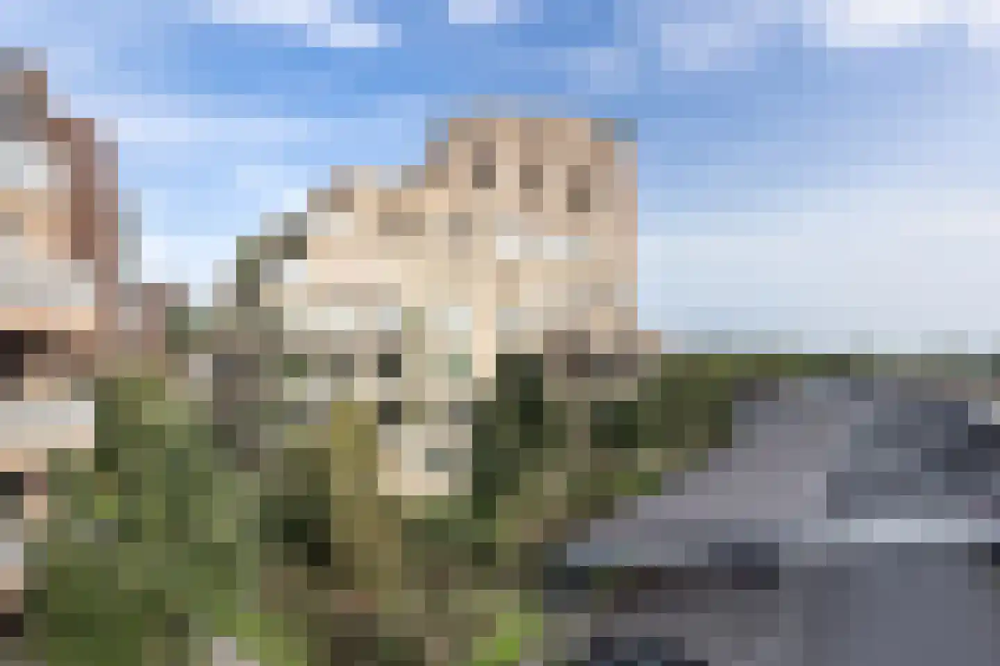 Willemspoort 294 's-Hertogenbosch thumbnail 53