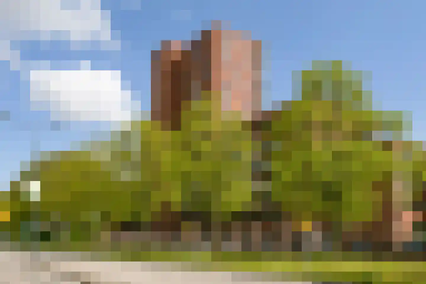Willemspoort 3 's-Hertogenbosch thumbnail 15