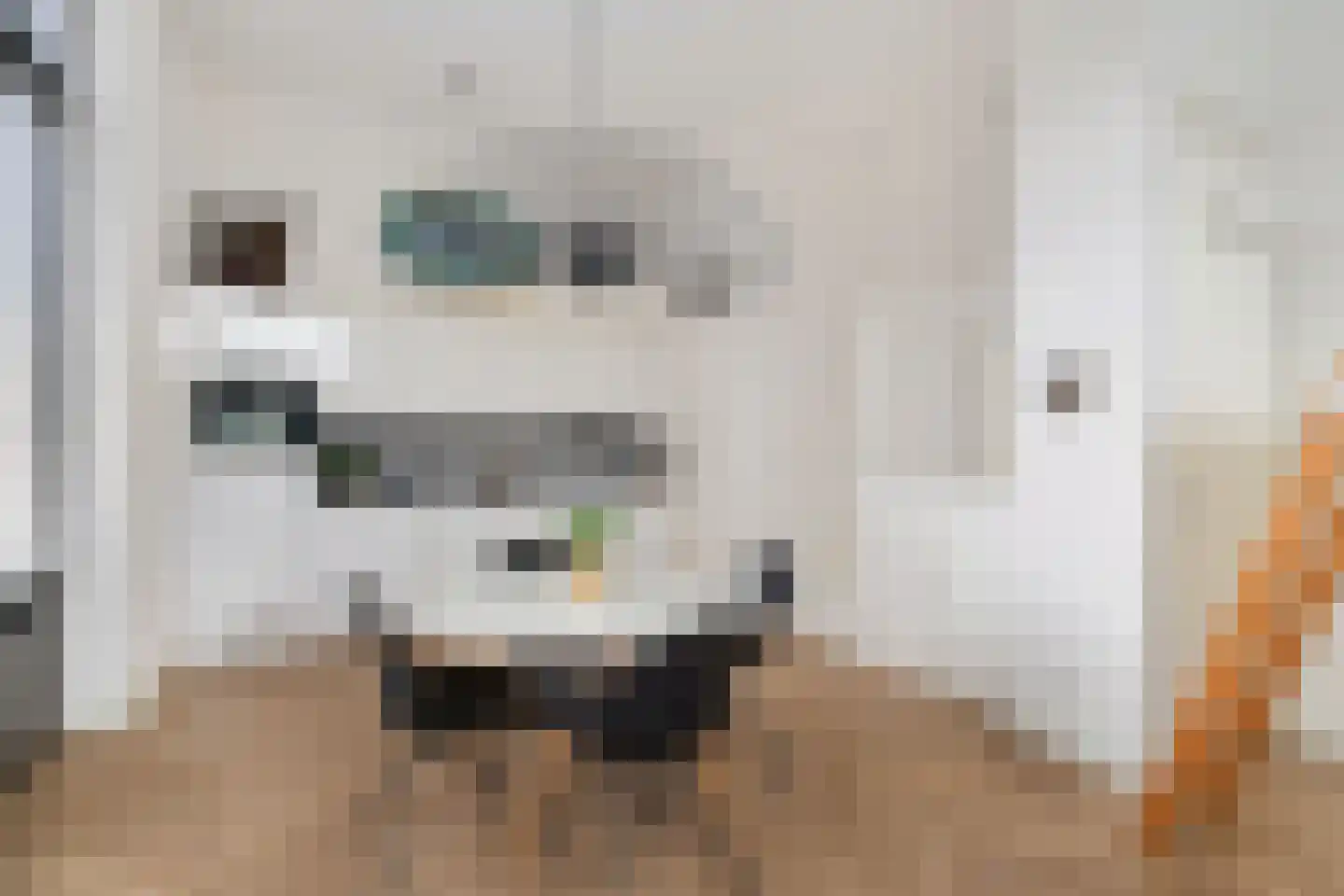 Willemspoort 3 's-Hertogenbosch thumbnail 4