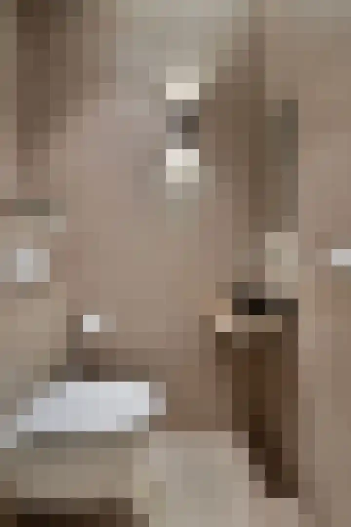 Willemspoort 69 's-Hertogenbosch thumbnail 10