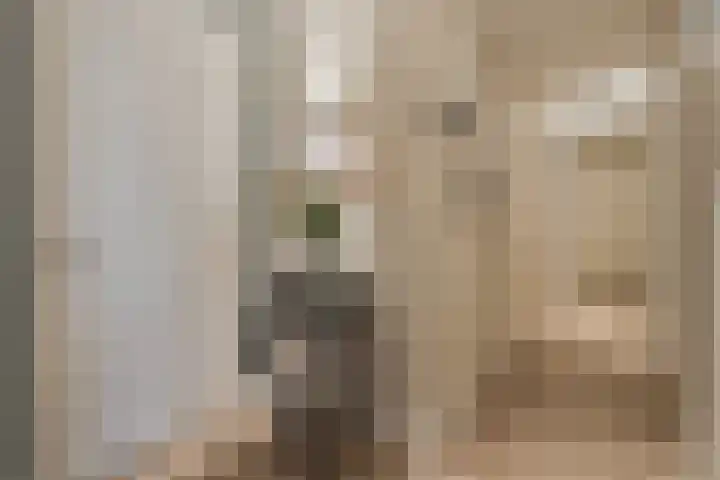 Willemspoort 69 's-Hertogenbosch thumbnail 11