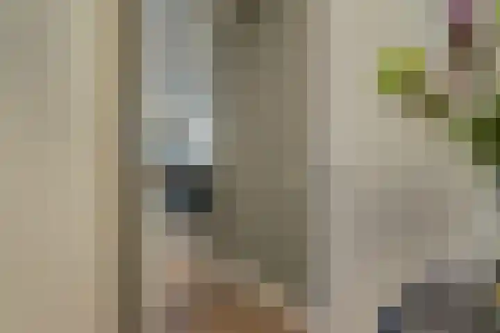 Willemspoort 69 's-Hertogenbosch thumbnail 12