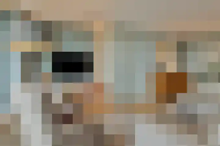 Willemspoort 69 's-Hertogenbosch thumbnail 15