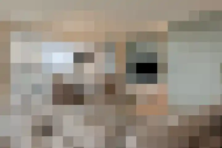 Willemspoort 69 's-Hertogenbosch thumbnail 16