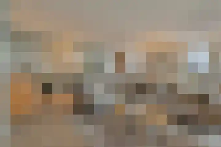 Willemspoort 69 's-Hertogenbosch thumbnail 19