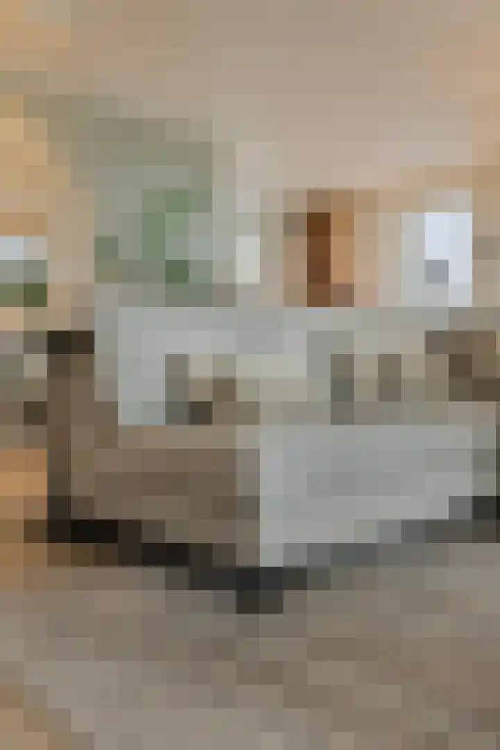 Willemspoort 69 's-Hertogenbosch thumbnail 20