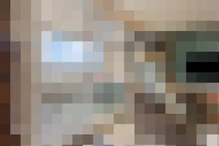Willemspoort 69 's-Hertogenbosch thumbnail 22