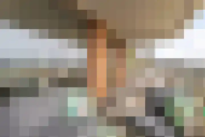Willemspoort 69 's-Hertogenbosch thumbnail 24