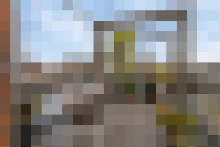 Willemspoort 69 's-Hertogenbosch thumbnail 26