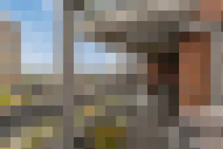 Willemspoort 69 's-Hertogenbosch thumbnail 27