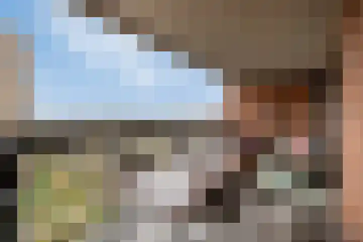 Willemspoort 69 's-Hertogenbosch thumbnail 28