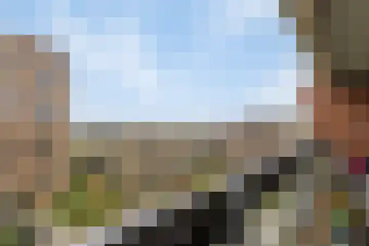 Willemspoort 69 's-Hertogenbosch thumbnail 30