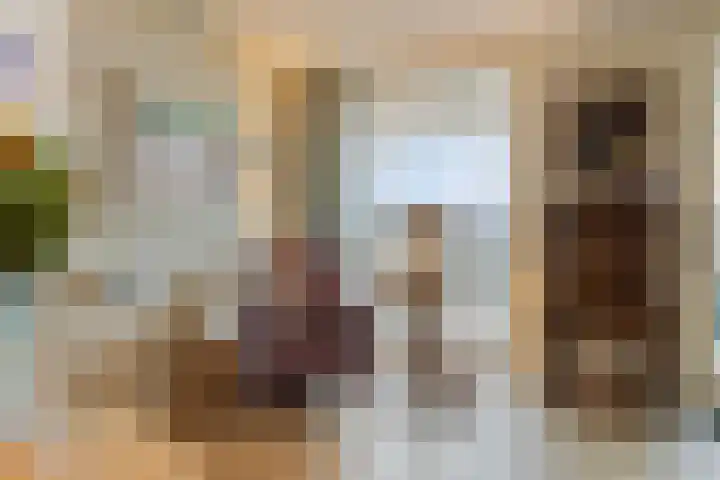 Willemspoort 69 's-Hertogenbosch thumbnail 31