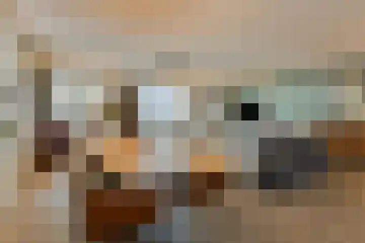 Willemspoort 69 's-Hertogenbosch thumbnail 33