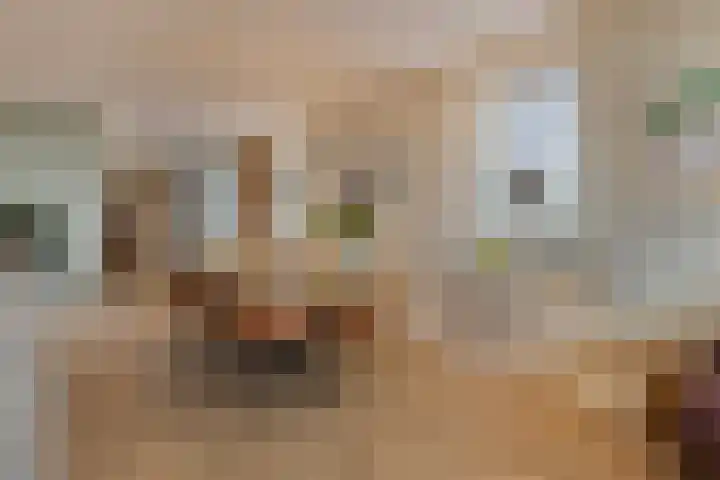 Willemspoort 69 's-Hertogenbosch thumbnail 34