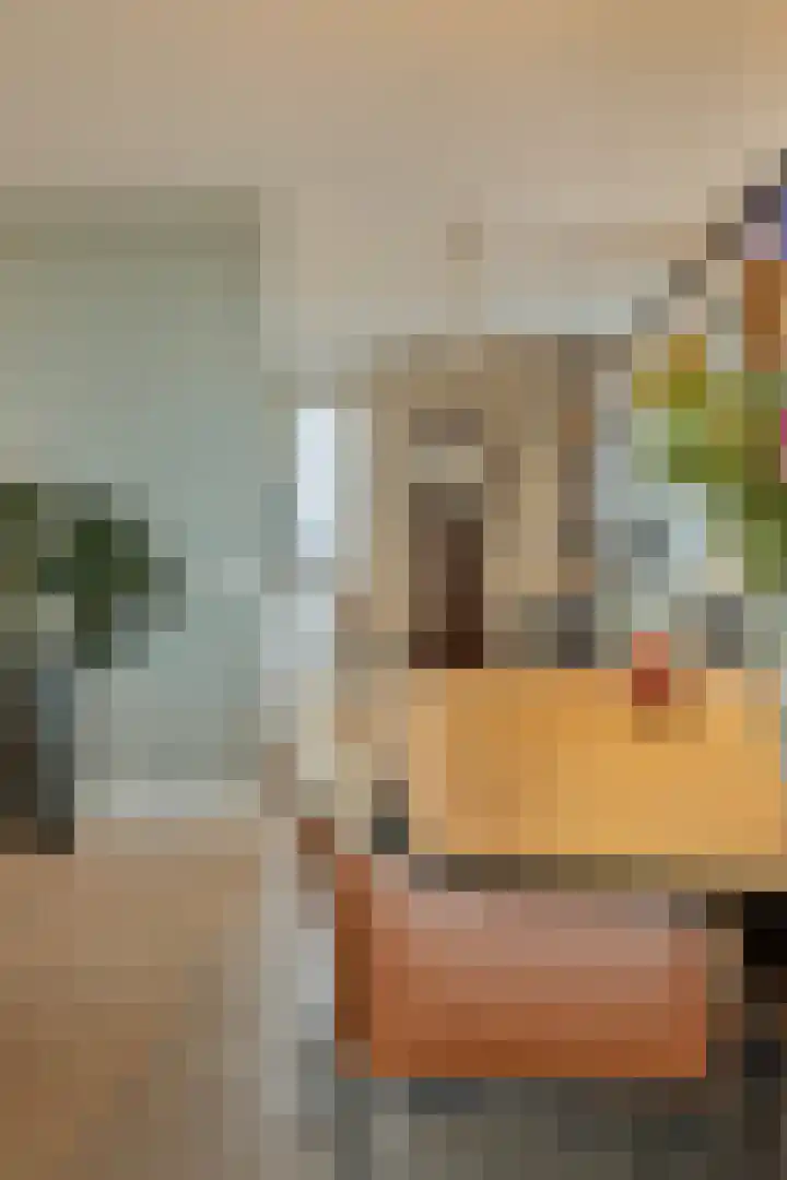 Willemspoort 69 's-Hertogenbosch thumbnail 35