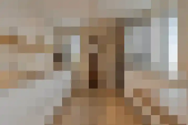 Willemspoort 69 's-Hertogenbosch thumbnail 40