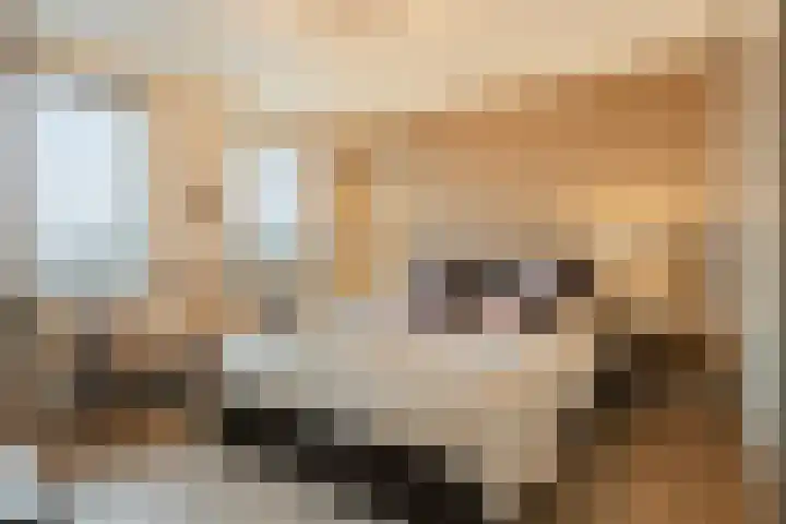 Willemspoort 69 's-Hertogenbosch thumbnail 45