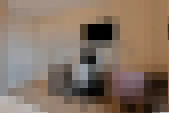 Willemspoort 69 's-Hertogenbosch thumbnail 46