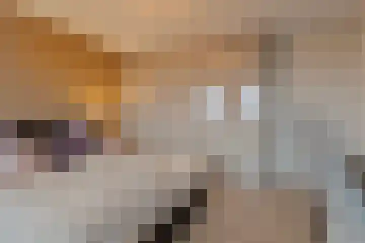 Willemspoort 69 's-Hertogenbosch thumbnail 47